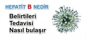 Hepatit B Tedavisi