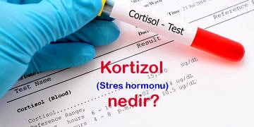 Kortizol (stres hormonu) nedir? Ne işe yarar? Yüksekliği ve düşüklüğü