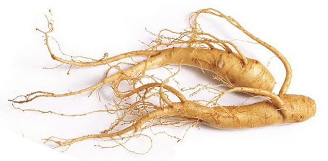 Ginseng Nedir Nas L Kullan L R Ay Ve Ya N N Faydalar Nelerdir